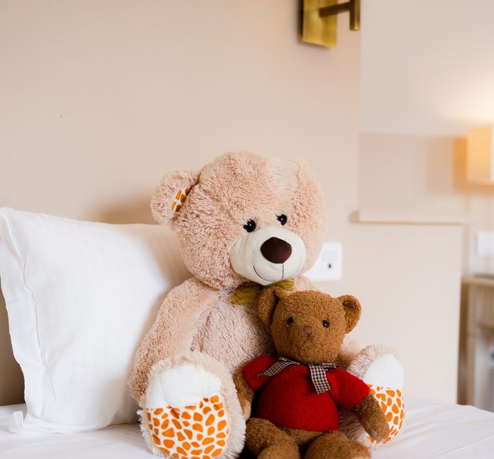 chambre-moulins-hotel-de-paris